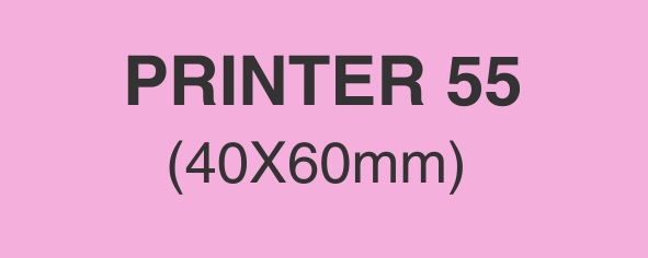 PRINTER 55